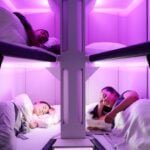 Skynest-with-people
