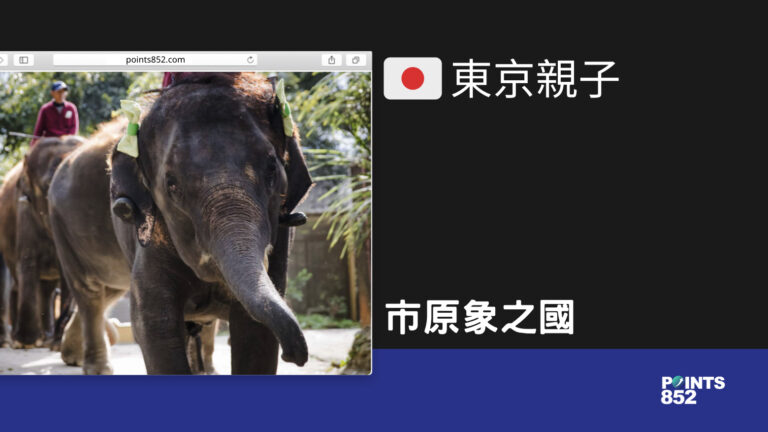 【千葉親子】市原象之國 – 近距離與大象互動
