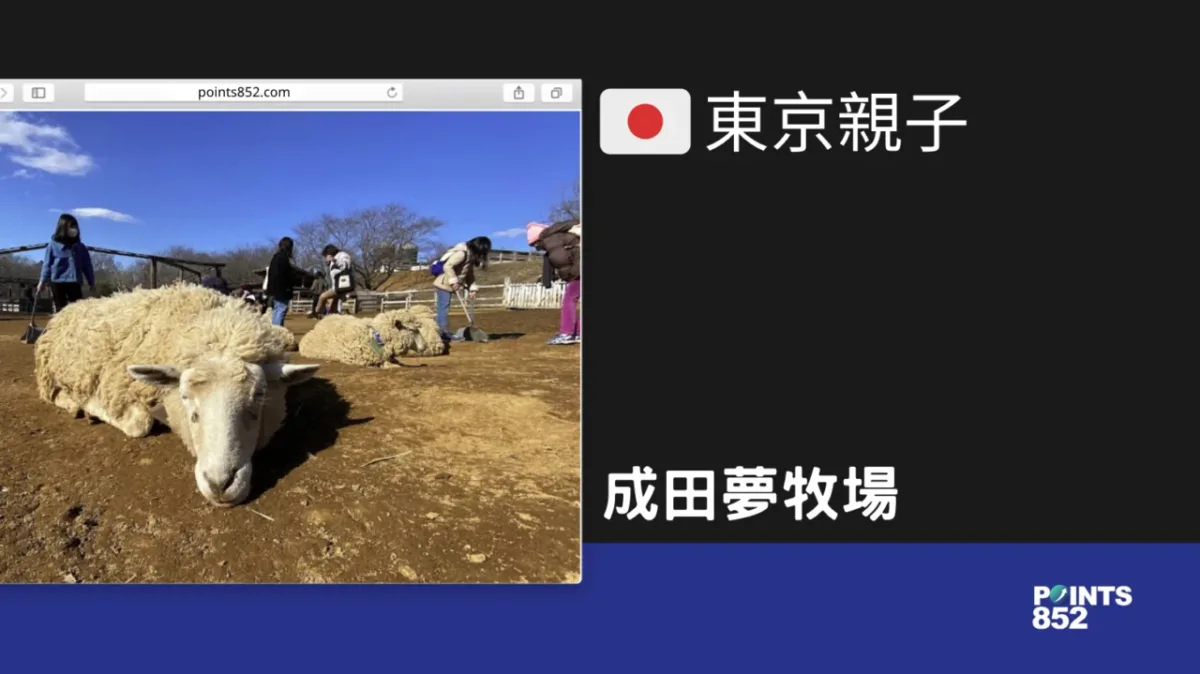 【千葉親子】成田夢牧場 – 與動物親密互動的夢幻體驗 【千葉親子】成田夢牧場 – 與動物親密互動的夢幻體驗