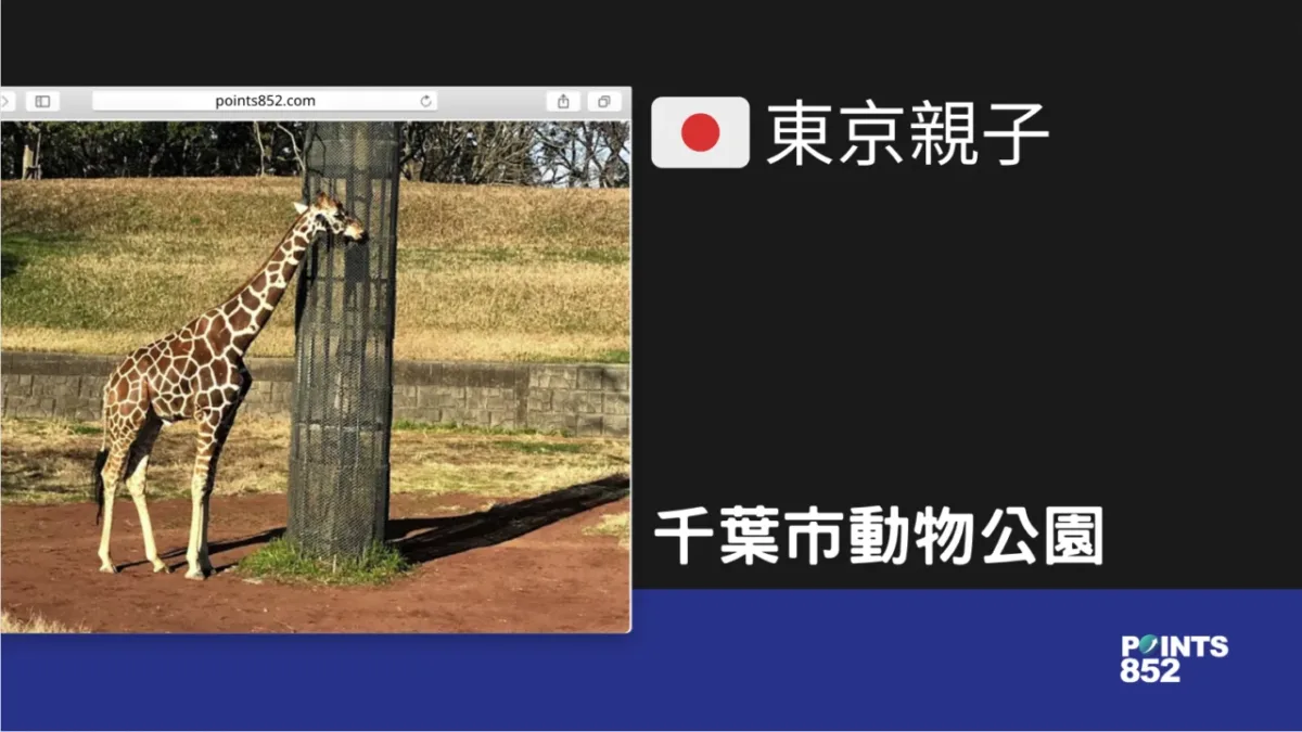 【千葉親子】千葉市動物公園 – 交通方便的戶外動物歡樂園