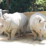 20221019_083025_9e9bdd80_w1920