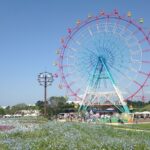 Ferris_wheel_and_nemophila_in_Umino_Nakamichi_Seaside_Park
