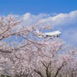 narita-jal-1-860×574-1