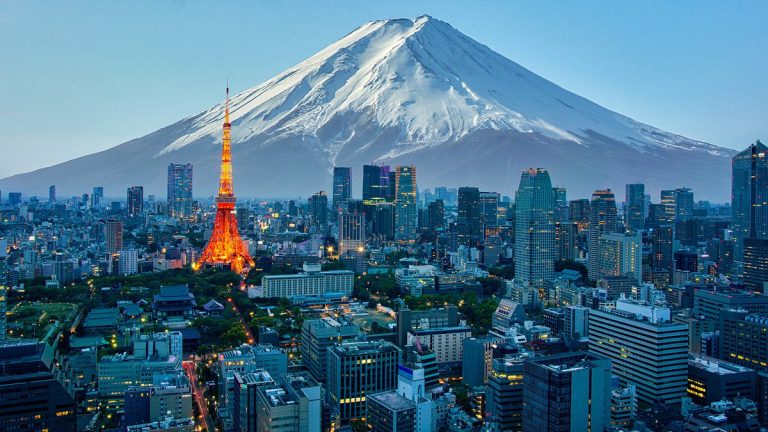 スカイホップバス京都每日運行班次增至22班 提升觀光便利性