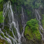 points852_2025_飛騨高山春季盛事：高山祭與美麗櫻花共襄盛舉，預計吸引18萬人參加