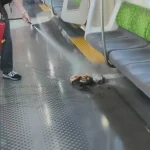 points852_2025_Yamanote-Line-delayed-after-smartphone-battery-catches-fire