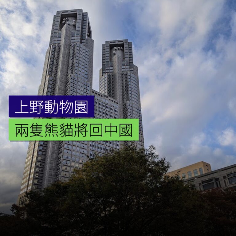 上野動物園兩隻熊貓將回中國