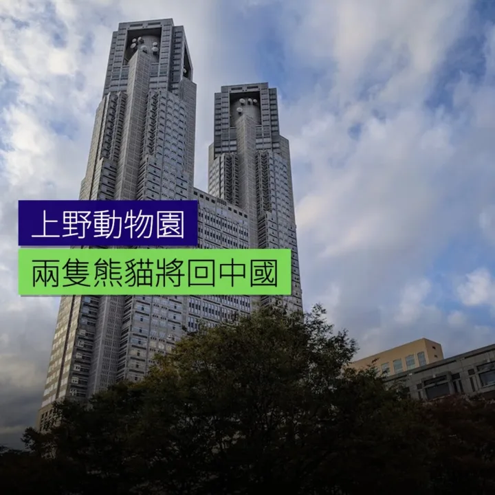 上野動物園兩隻熊貓將回中國 - 精選圖片