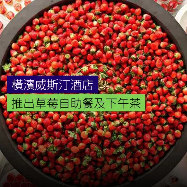 橫濱威斯汀酒店推出草莓自助餐及下午茶 橫濱威斯汀酒店推出草莓自助餐及下午茶