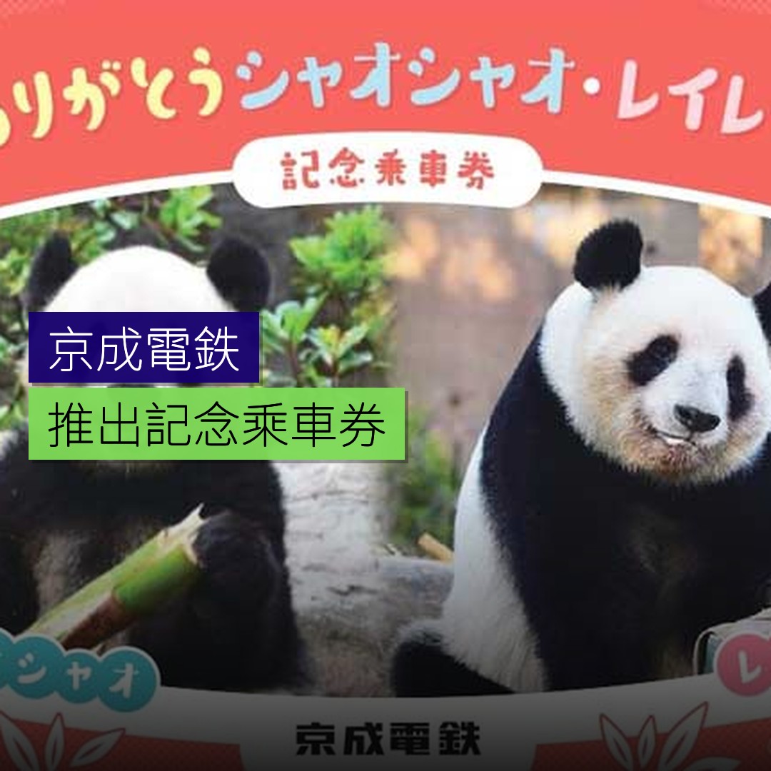 京成電鉄、「ありがとう シャオシャオ・レイレイ記念乗車券」を発売 - TRAICY（トライシー） - 精選圖片