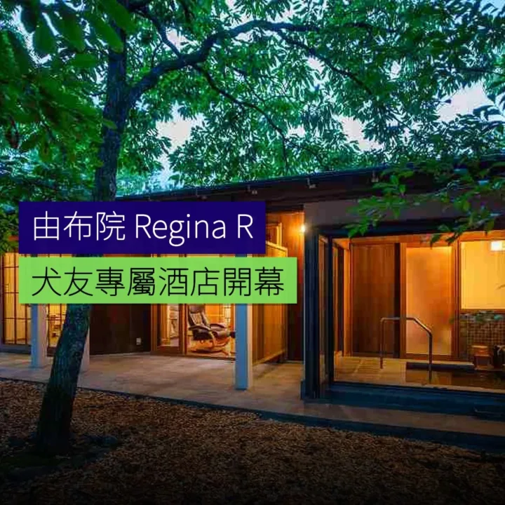 由布院新開「Regina Resort」犬友專屬酒店 - 精選圖片
