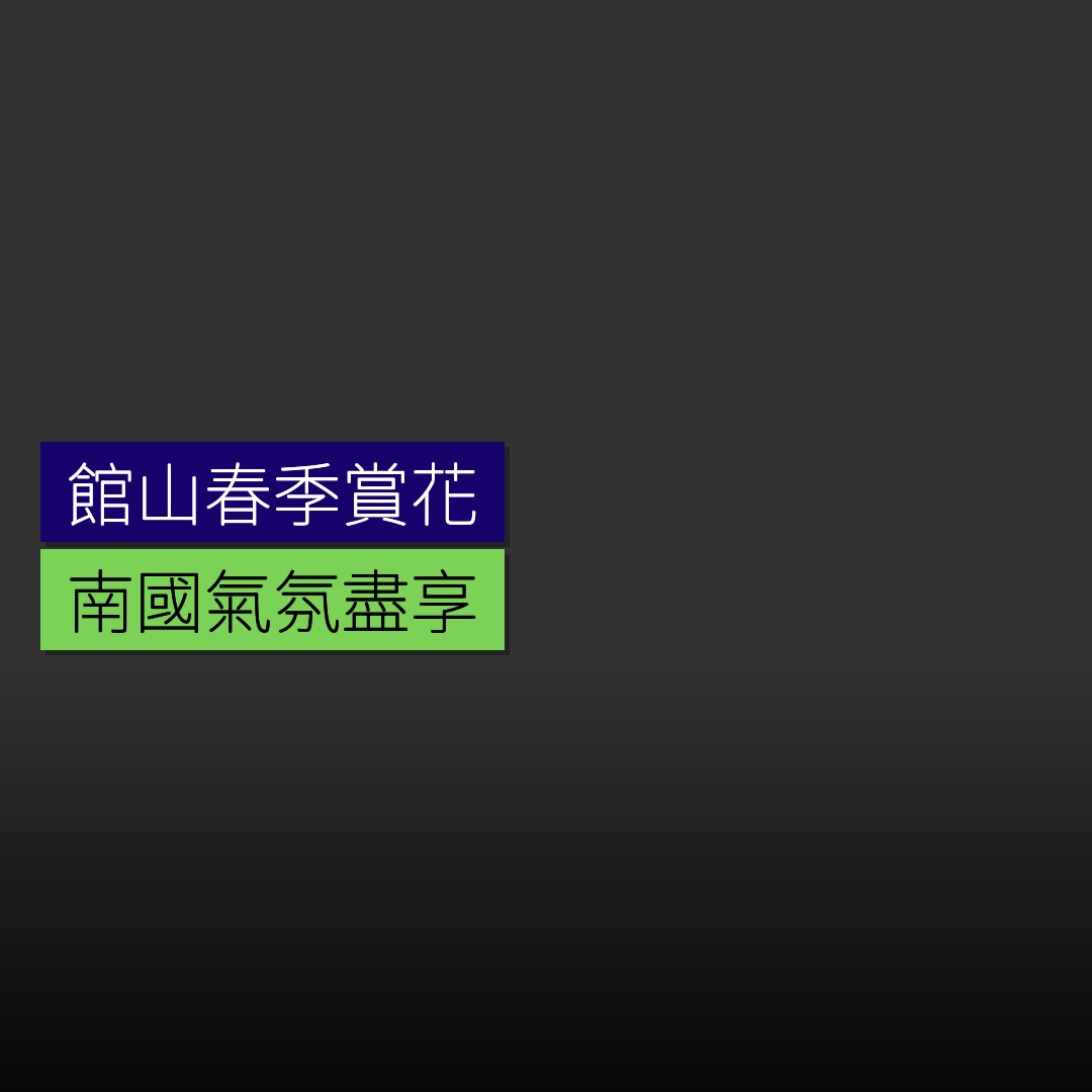 館山春季賞花 南國氣氛盡享 - 精選圖片
