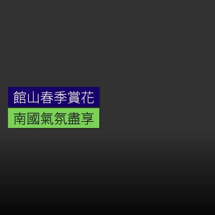 館山春季賞花 南國氣氛盡享 - 精選圖片