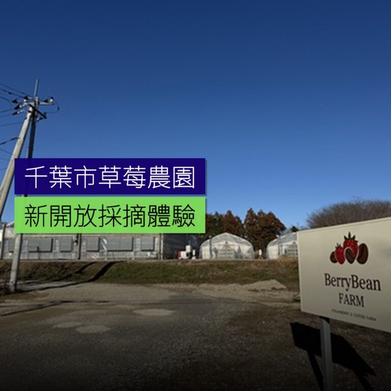 千葉市新開放草莓採摘農園 千葉市新開放草莓採摘農園