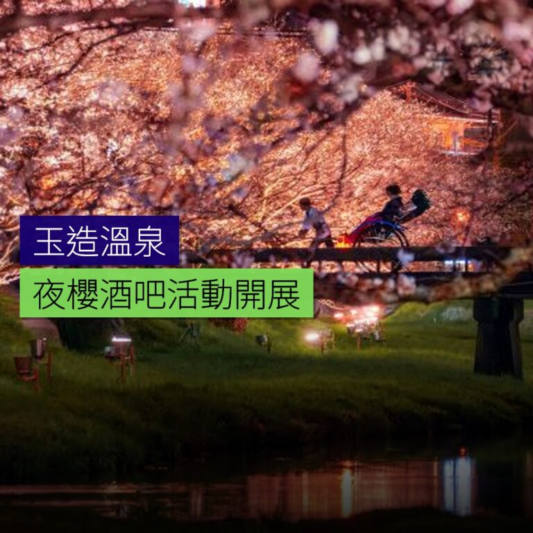 玉造溫泉夜櫻酒吧活動開展 玉造溫泉夜櫻酒吧活動開展