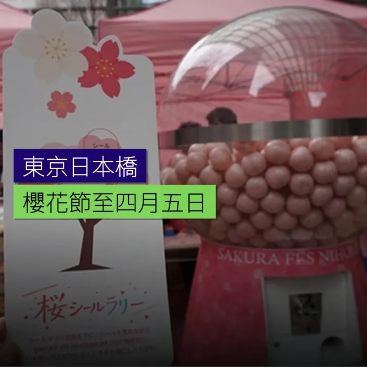 東京日本橋櫻花節至 4 月 5 日 - 精選圖片