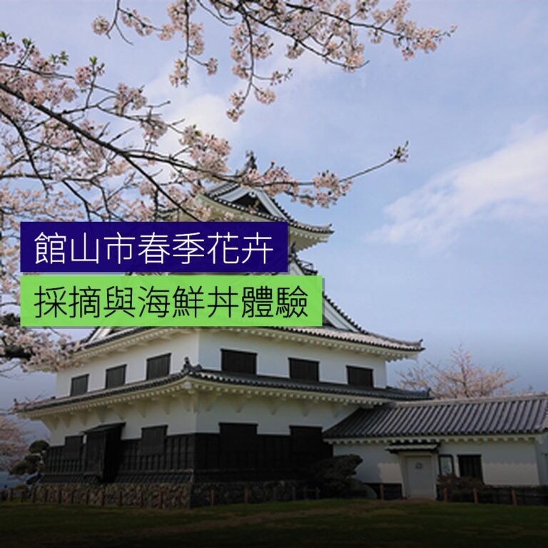 館山市春季花卉採摘與海鮮丼體驗