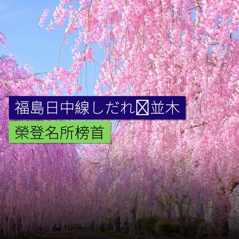 福島日中線しだれ桜並木榮登名所榜首 福島日中線しだれ桜並木榮登名所榜首