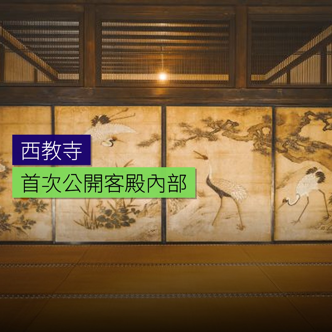 西教寺首次公開客殿內部 - 精選圖片
