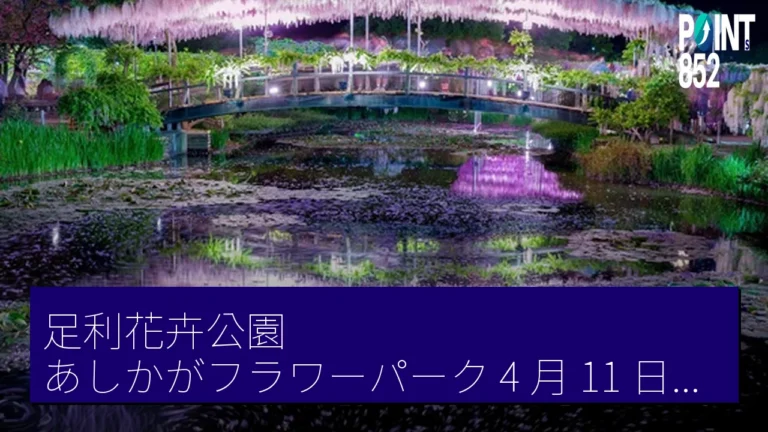 足利花卉公園(あしかがフラワーパーク)4 月 11 日起辦大藤祭 大藤開花早 1 週 足利花卉公園(あしかがフラワーパーク)4 月 11 日起辦大藤祭 大藤開花早 1 週