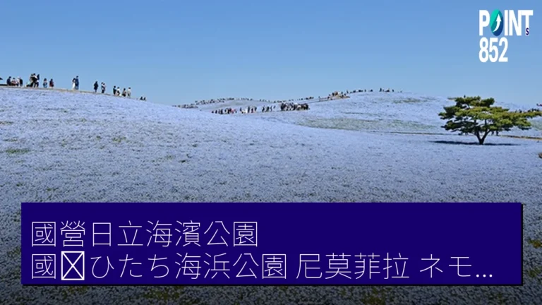 國營日立海濱公園(國営ひたち海浜公園)尼莫菲拉(ネモフィラ)4 月 16 日左右滿開 國營日立海濱公園(國営ひたち海浜公園)尼莫菲拉(ネモフィラ)4 月 16 日左右滿開