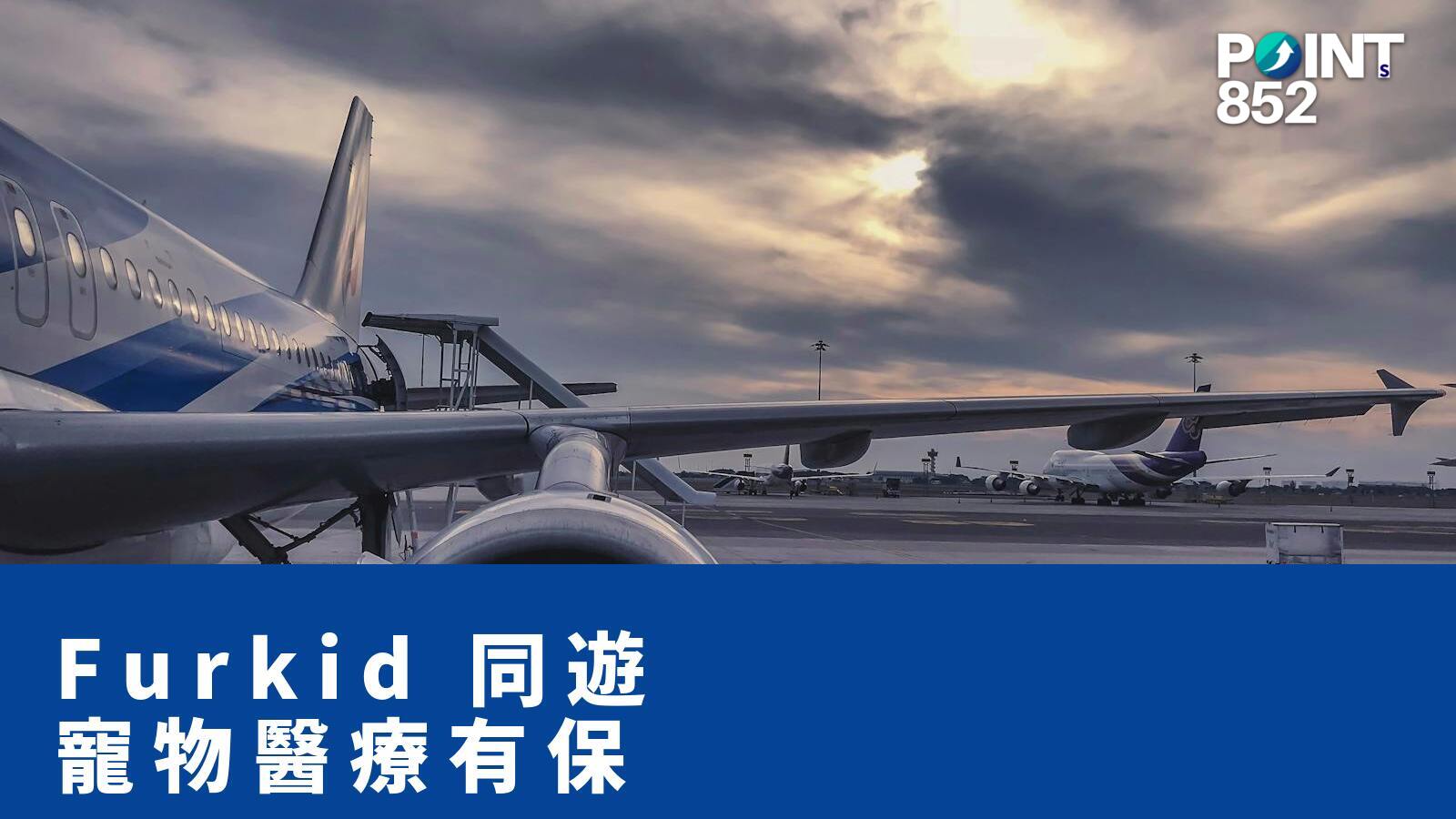 Furkid 同遊 寵物醫療有保 - PRUChoice 旅保解構