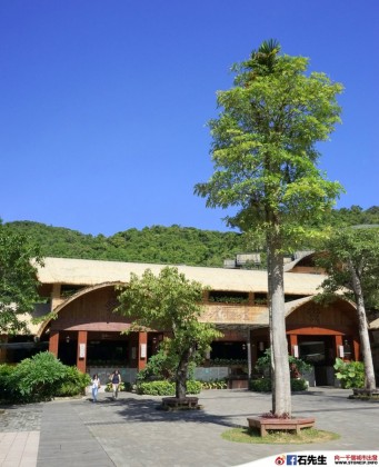 stoneip 446075bed9da