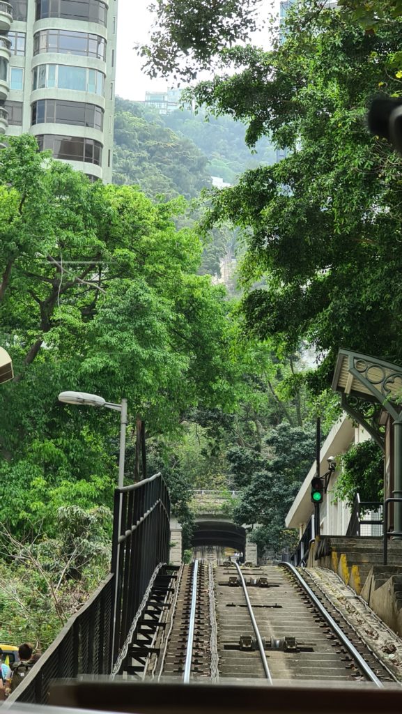 stoneip 7a8276702002