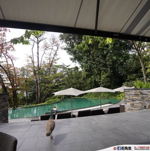 stoneip 91ae3bee84b1