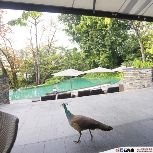 stoneip 98e0b6c957e6