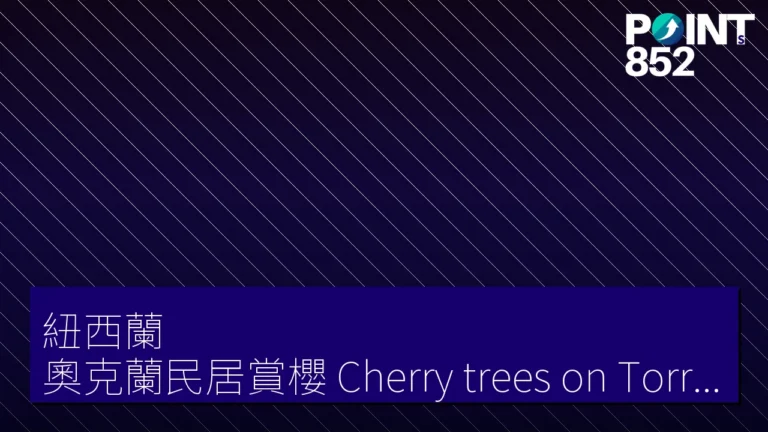 【紐西蘭】奧克蘭民居賞櫻 Cherry trees on Torrance Street 【紐西蘭】奧克蘭民居賞櫻 Cherry trees on Torrance Street