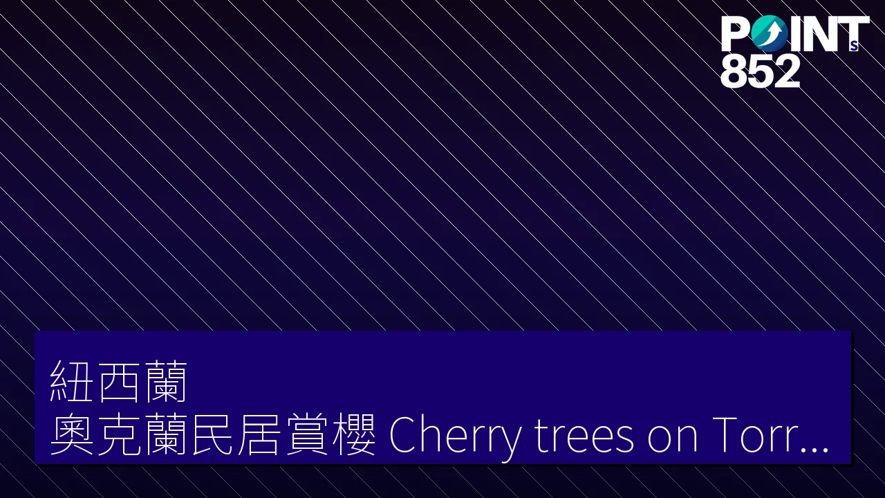 【紐西蘭】奧克蘭民居賞櫻 Cherry trees on Torrance Street 【紐西蘭】奧克蘭民居賞櫻 Cherry trees on Torrance Street