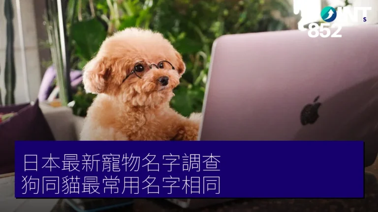日本最新寵物名字調查 狗同貓最常用名字相同