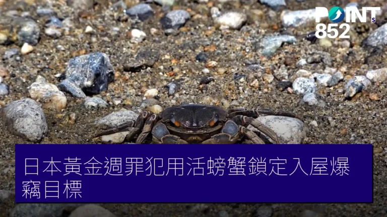 日本黃金週罪犯用活螃蟹鎖定入屋爆竊目標 日本黃金週罪犯用活螃蟹鎖定入屋爆竊目標