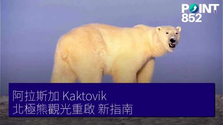 阿拉斯加 Kaktovik 北極熊觀光重啟 新指南