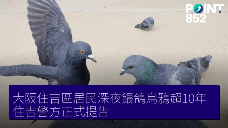 大阪住吉區居民深夜餵鴿烏鴉超10年 住吉警方正式提告 大阪住吉區居民深夜餵鴿烏鴉超10年 住吉警方正式提告