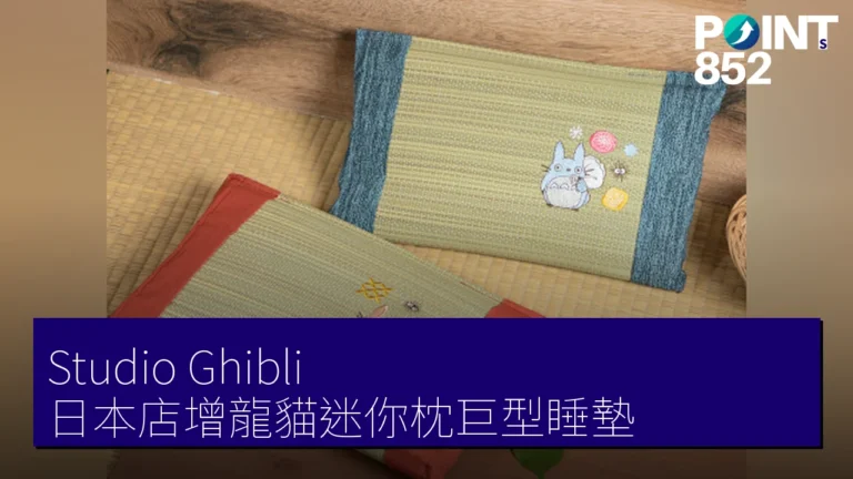 Studio Ghibli 日本店增龍貓迷你枕巨型睡墊 Studio Ghibli 日本店增龍貓迷你枕巨型睡墊