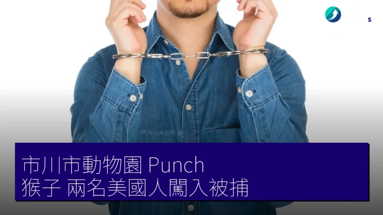市川市動物園 Punch 猴子 兩名美國人闖入被捕 市川市動物園 Punch 猴子 兩名美國人闖入被捕