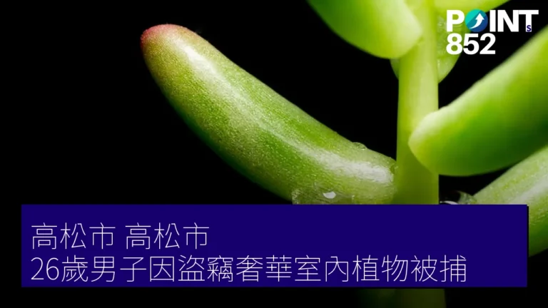高松市(高松市)26歲男子因盜竊奢華室內植物被捕 高松市(高松市)26歲男子因盜竊奢華室內植物被捕