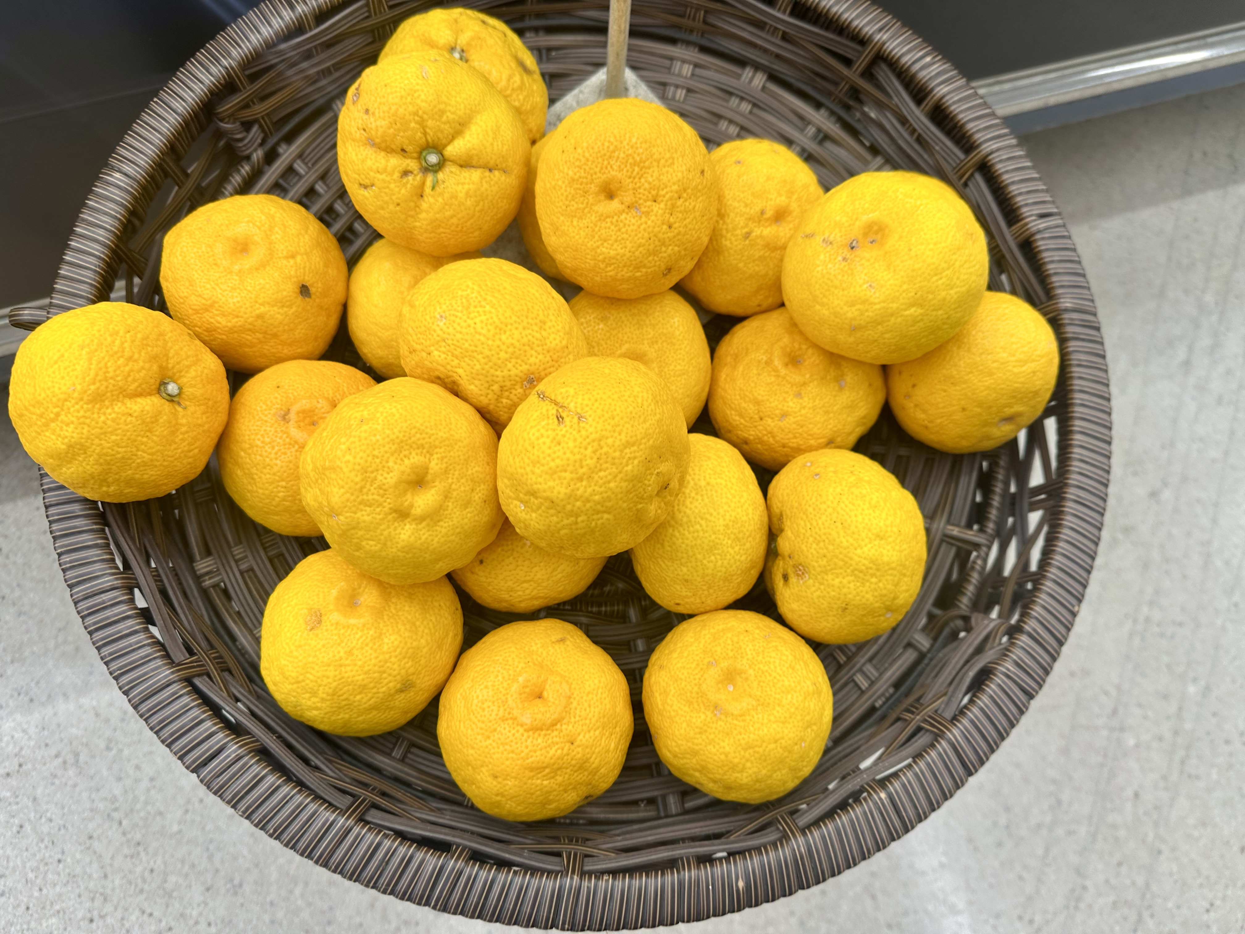 柚子果實