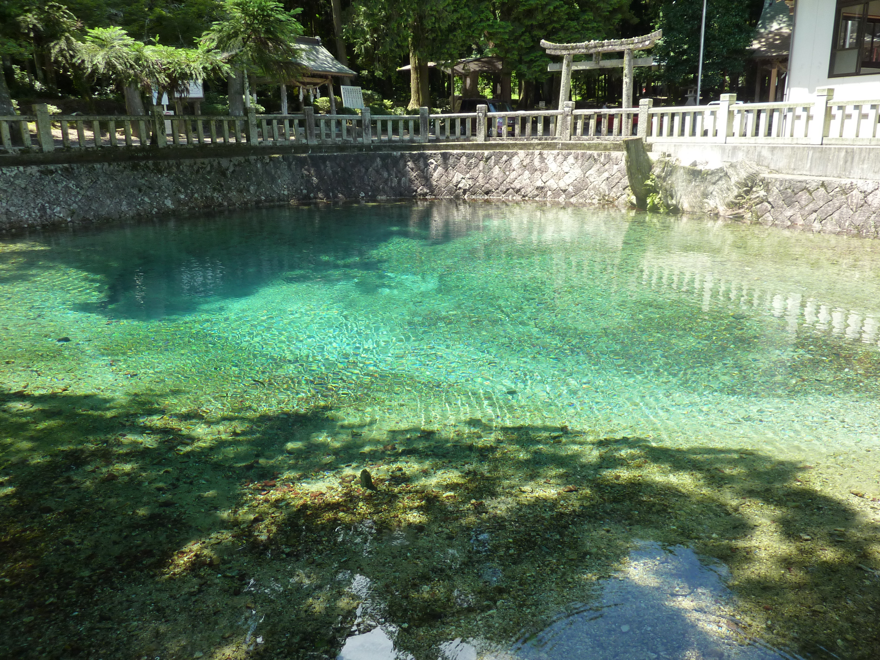 別府弁天池碧綠湧泉