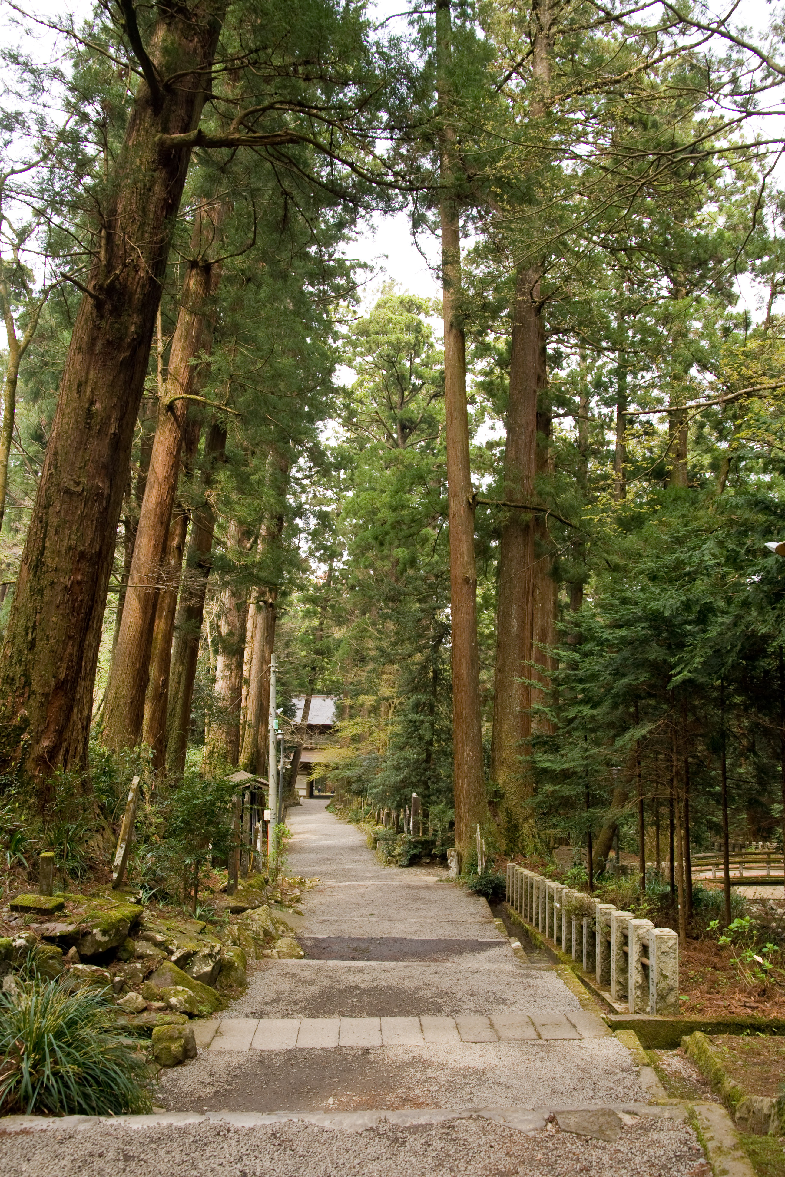 大雄山最乗寺