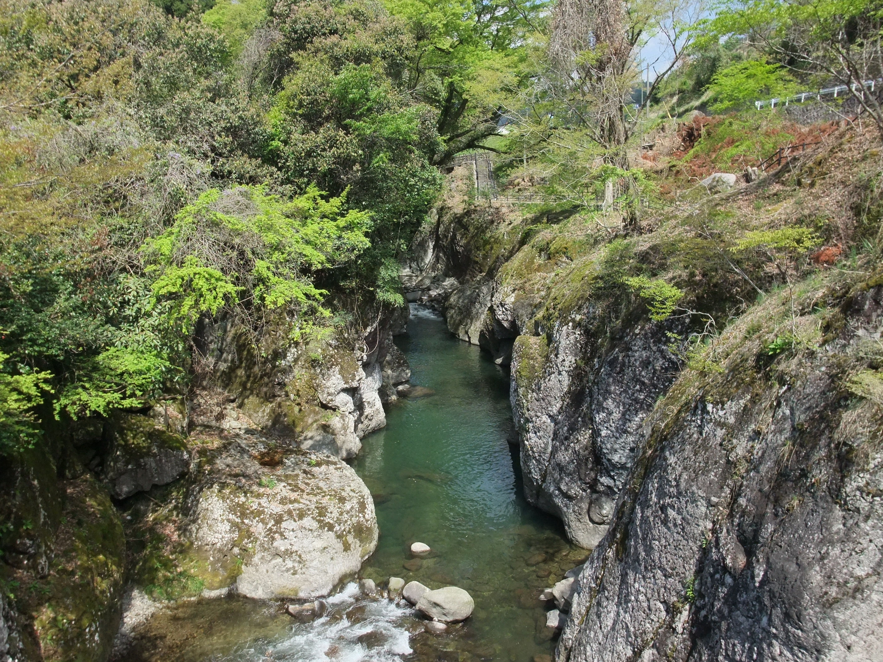 魔林峡渓谷