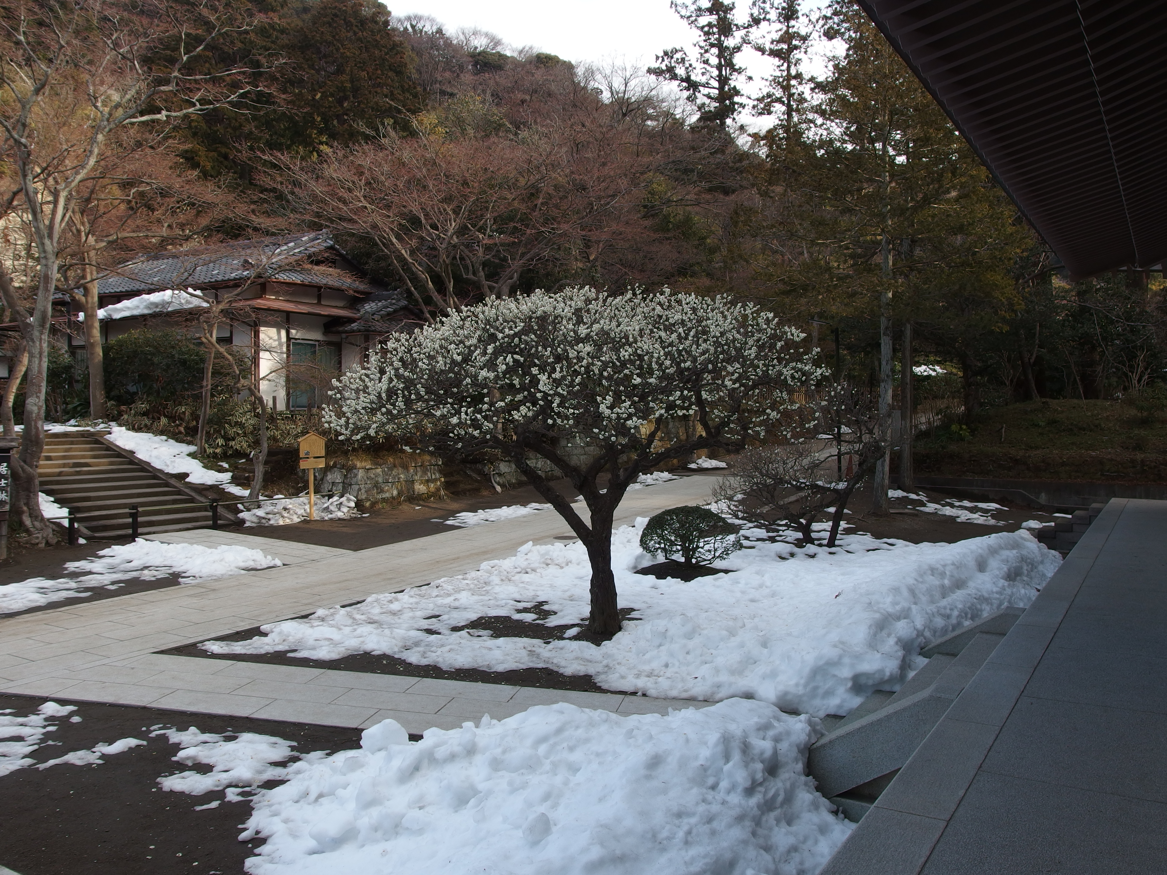 圓覺寺境內的禪寺殿堂與庭園