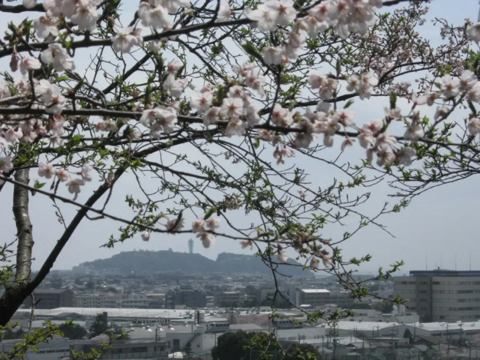 江之島島景