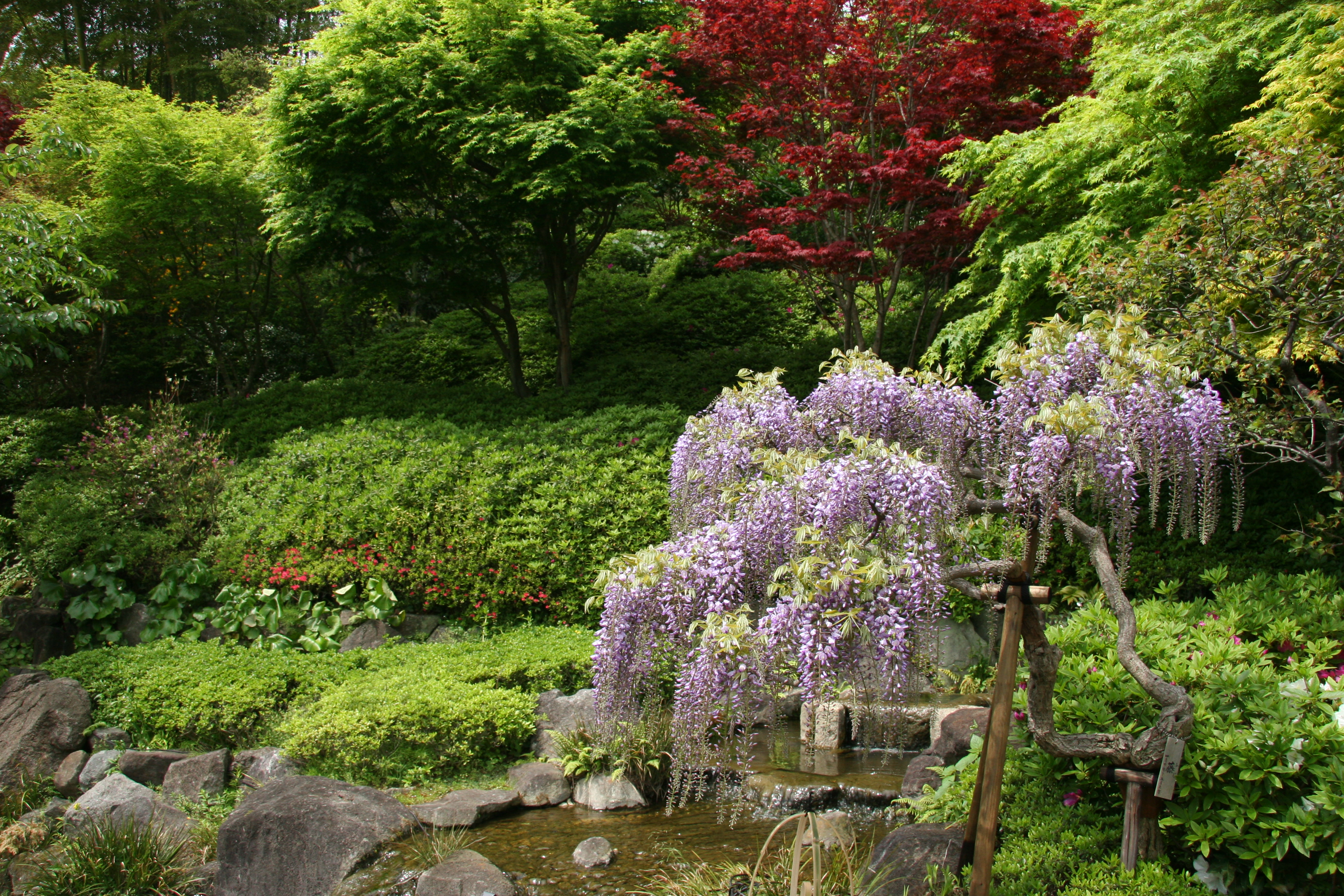 長谷寺