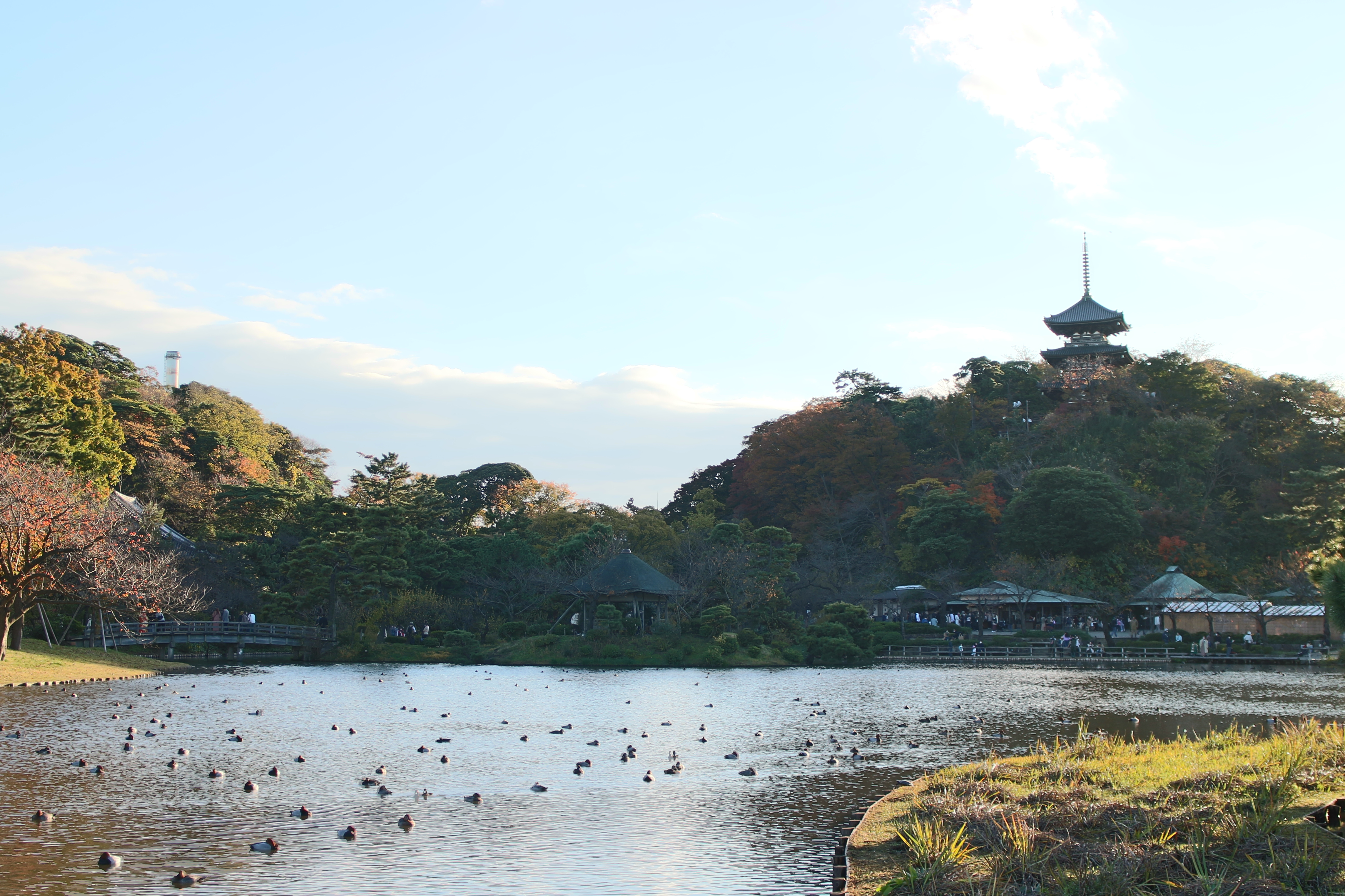 三溪園