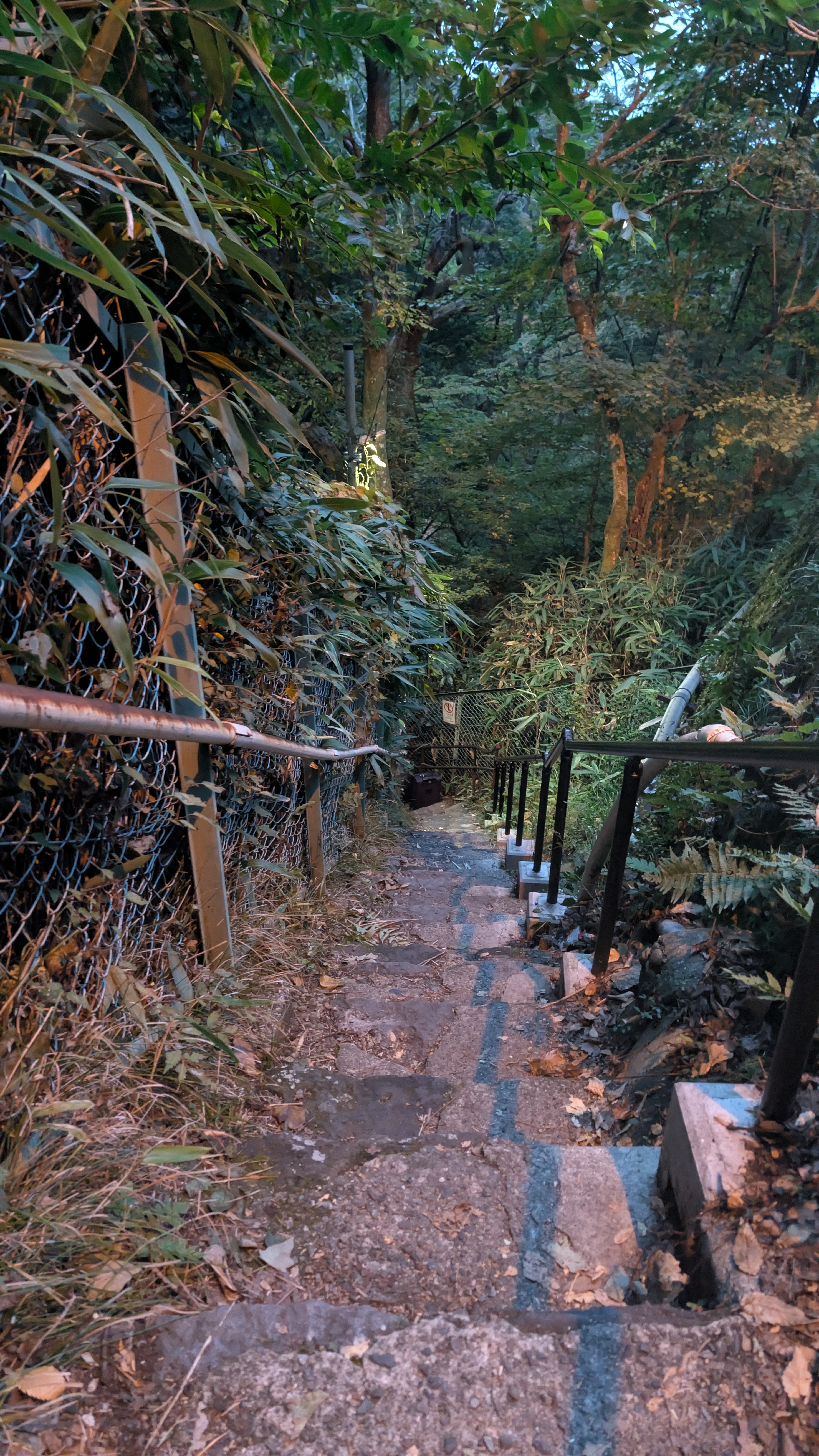 強羅一帶街景