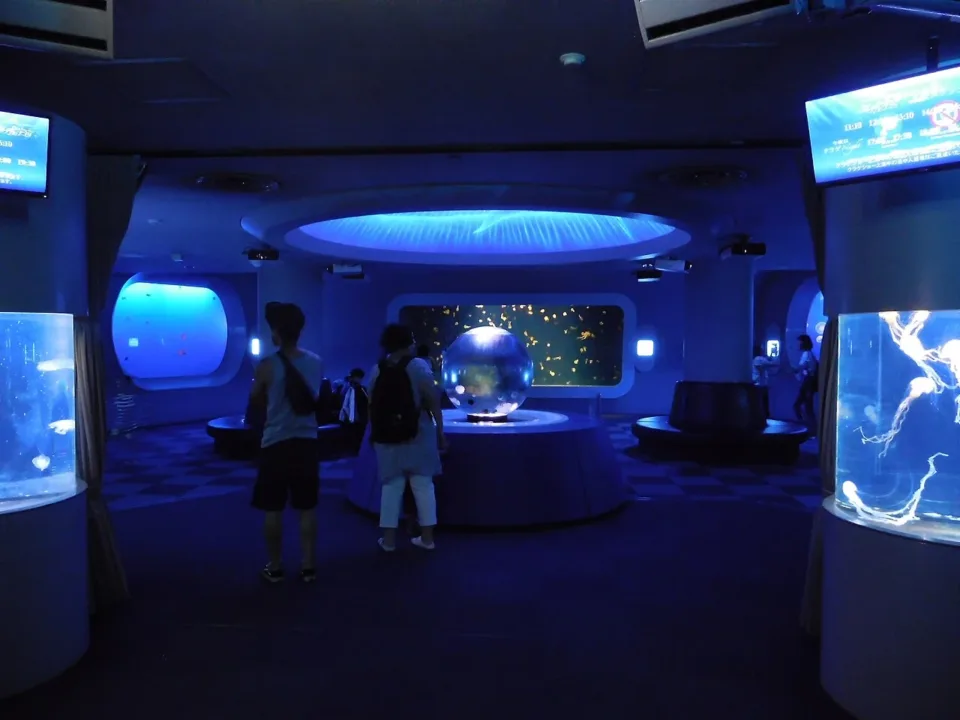 新江之島水族館的水母展示