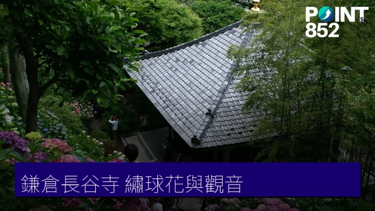 【鎌倉長谷寺】十一面觀音、繡球花與眺望鎌倉海景平台